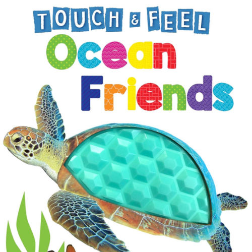 Ocean Friends - Touch and Feel Board Book - Sensory Board Book