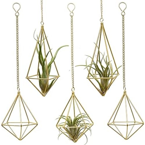 Geometric Hanging Tillandsia Holder Gold Metal Air Plant Holders for House Decor, Small Indoor Plants, Plant Lover Gifts (5Pcs)