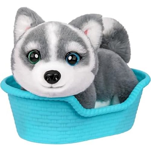 Little Live Pets My Really Real Puppy Mini Aurora The Husky, Interactive Plush Toy with Display Basket, 20+ Sounds and Reactions, Puppy Toys for Kids