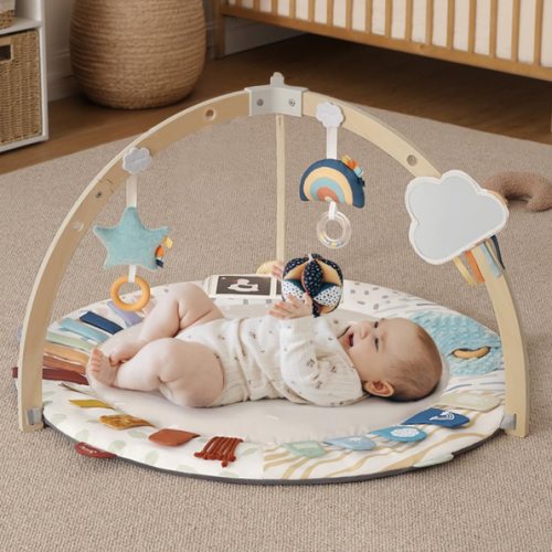 Blissful Diary Baby Play Gym & Activity Mat, 5 Developmental Zones Wooden Tummy Time Mat with 5 Detachable Sensory Toys for Motor Skills & Sensory Development, Baby Essentials Shower Gift