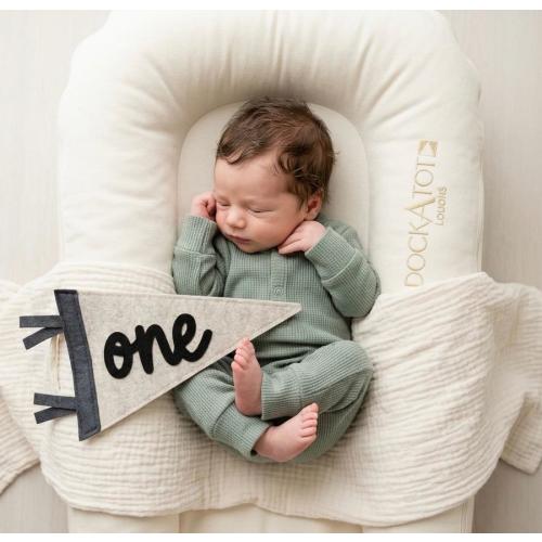 Baby Monthly Milestone Pennant