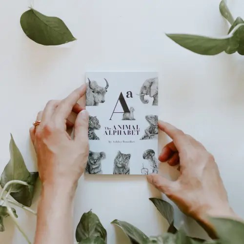 The Animal Alphabet Mini Paperback Book by Ashley Benedict Hand Drawn ABC Animals for Kids and Baby — Ashley Benedict