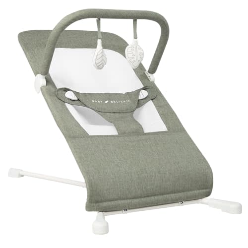 Baby Delight Highland Baby Bouncer | Infant | 0  6 Months | 3-Position Recline | Sage Tweed