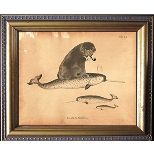 Newfoundland Newfie Dog Riding Narwhal Vintage Collage Semi-Matte Photo Print Tea Stained Background dog art dog gift for dog mom gift for her dog novelty gift wall decor art print