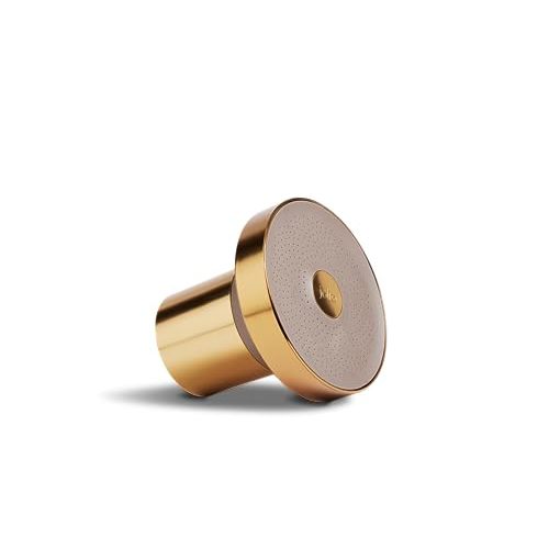 THE JOLIE FILTERED SHOWERHEAD with Shower Filter System- High Pressure Showerhead, Hair and Skincare Accessory to Improve Beauty and Personal Care Routine (Gold)
