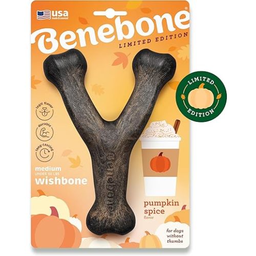Benebone Pumpkin Spice Wishbone – Limited Edition Flavor, Durable Dog Chew Toy for Aggressive Chewers, Made in USA, Medium