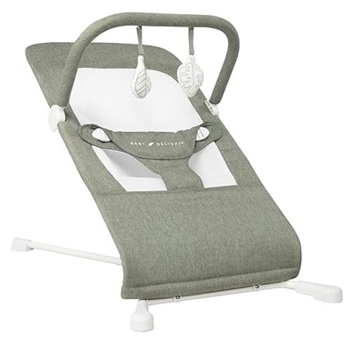 Baby Delight Highland Baby Bouncer | Infant | 0 – 6 Months | 3-Position Recline | Sage Tweed