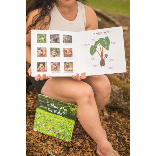 Kalo Board Books