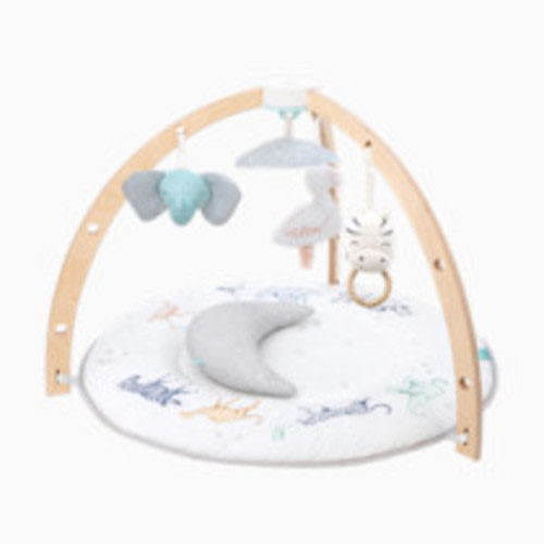 aden + anais Play and Discover Baby Activity Gym – 30+ Developmental Benefits - 3 Attachable Toys + Plush Tummy Time Pillow – 100% Cotton Muslin – Machine Washable