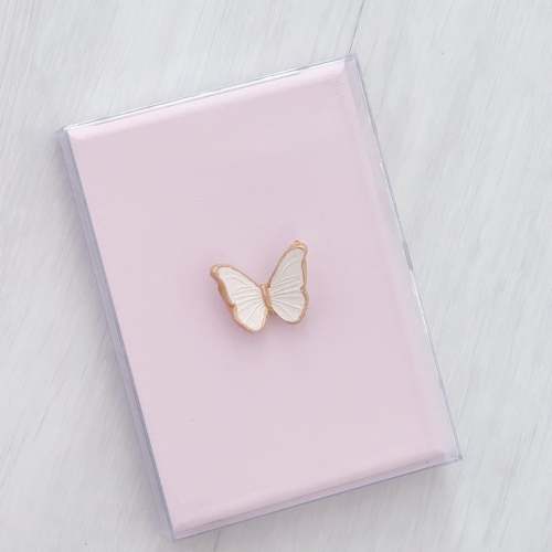 Butterfly Shadow Box