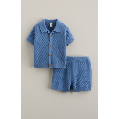 Short Sleeve Knit Button-Up Shirt & Shorts Set, 12M