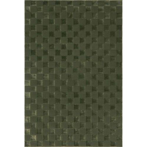 Nuloom Alaiya Checkered Pet Friendly Textured Machine Washable Area Rug, 5' x 8', Green