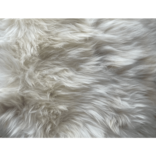 Sheepskin – Smith Farm 1914