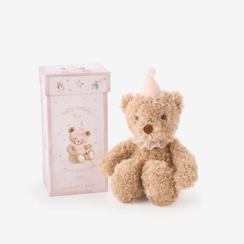 Pink Birthday Bear Plush Toy w/ Gift Box PINK / O/S