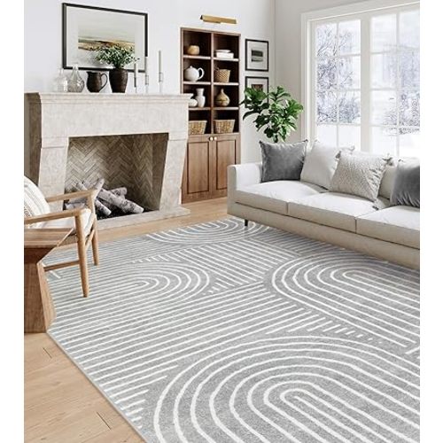 Lahome Abstract Area Rug 6x9, Soft Washable Rug for Living Room Ultra-Thin Non Slip, Modern Grey Rug Throw Carpet for Bedroom Dining Room Office Darrell (6'x9',Gray)