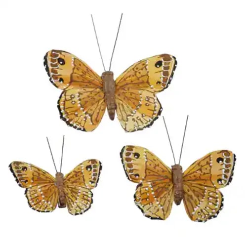 Butterfly Embellishments by Ashland®