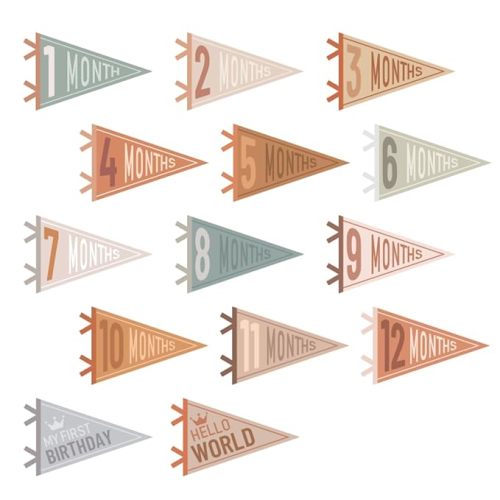 VitalCozy 14 Pcs Baby Milestone Pennant Signs Monthly Milestone Banner Flags Pennant Triangle Banner Age Flag Signs for Boy Girl Newborn Birthday Party Decor(Assorted Colors)