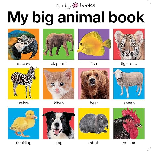 My Big Animal Book (My Big Board Books) Board book – Illustrated, May 10, 2011