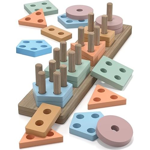 Wooden Shape Sorter Learning Toy
