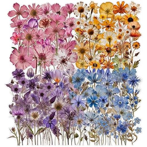 200 Pcs Dried Flower Stickers for Scrapbook Supplies, Pressed Flower Stickers Natural Floral Botanical Decals for Junk Journal Supplies, Scrapbook Stickers, Bullet Journals, Planner, Resin Art