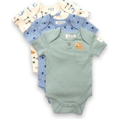 JOY JUST ORGANIC YOU 3-Pack Assorted Bodysuits | Nordstromrack