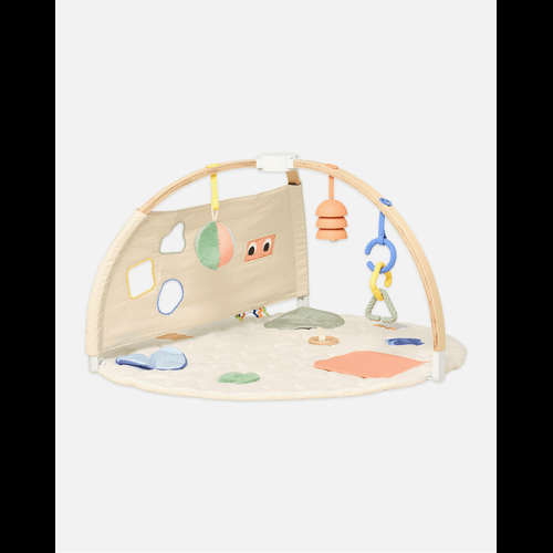 The Play Gym II