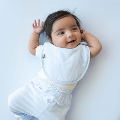 Cushy Bib in Mist