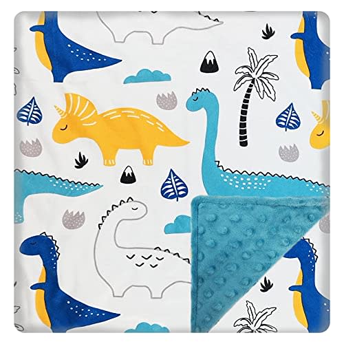 Baby Blanket for Boys Girls (DinosaursPrinted, 30"x40") with Double Layer Dotted Backing Soft Plush Minky Blanket for Toddlers Newborn