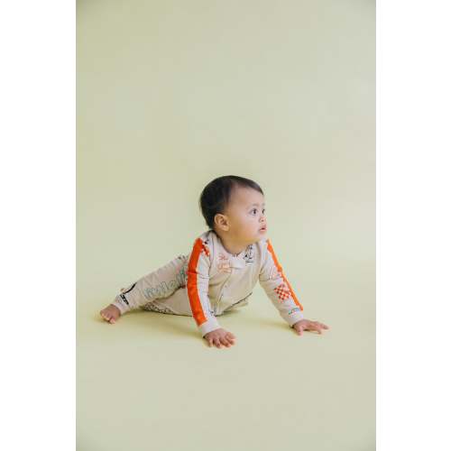 Little Rock Sleeper - Young Days