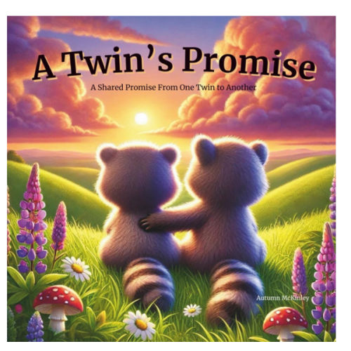 A Twins Promise | Book About Twin Sibling Bond | Keepsake Storybook for Twin Babies & Toddlers | Identical & Fraternal: Perfect Gift for Expectant ... Showers | Brothers & Sisters | Boys and Girls