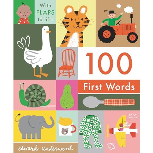100 First Words: With Flaps to Lift
