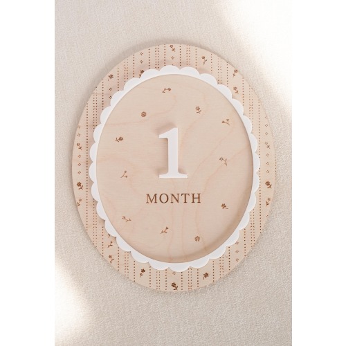Baby Girl Monthly Milestones Sign: Interchangeable Pointelle Photo Prop for First Year