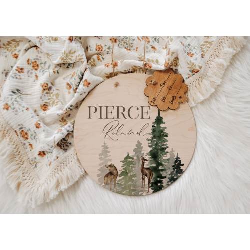 Hospital Door Hanger Boy, Hospital Name Sign, Woodland Door Hanger, Baby Doorhanger, Nursery Name Sign, Newborn Birth Stats, Shower Gift