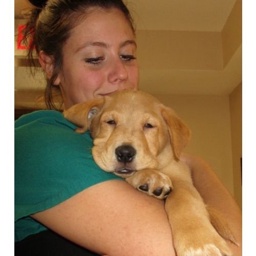 Heartland Animal Rescue Team | Mightycause