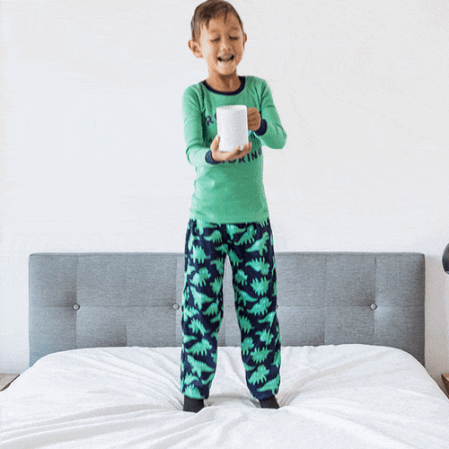 Waterproof Mattress Protector (Non-Toxic)