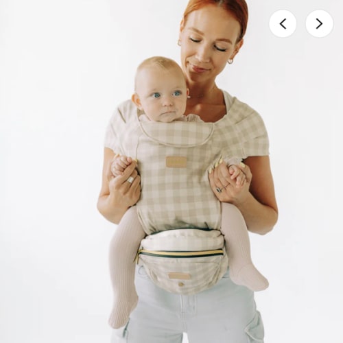 2-in-1 Convertible Carrier