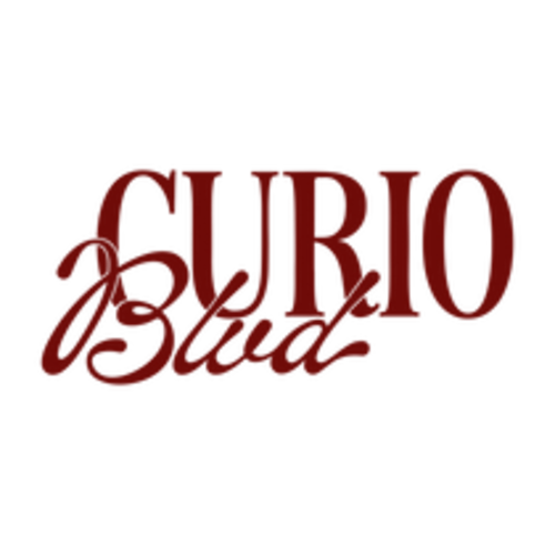 Time Capsule Journal Preserve Your Life Story & Family History – Curio Blvd
