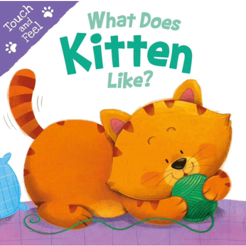 What Does Kitten Like?: Touch & Feel Board Book (Touch and Feel)