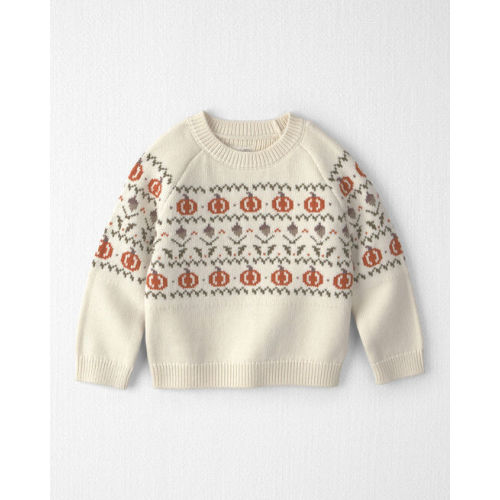 Toddler Organic Cotton Fair Isle Sweater Knit Pullover - Little Planet | Carter's
