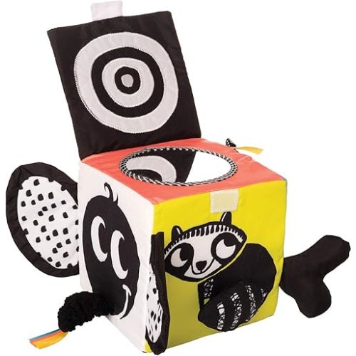 Manhattan Toy Wimmer-Ferguson Learning Cube Multisensory Soft Baby Activity Toy