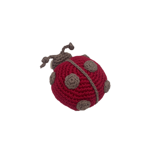 Ladybug Rattle & Soothing Toy | Danrie
