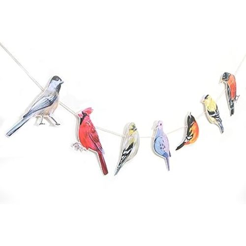 Song Birds Banner - Rustic Bird Birthday Party Decorations, Vintage Farmhouse Animals Party Supplies, Bird Watcher Baby Shower Garland, Song Birds Cake Smash Photo Props