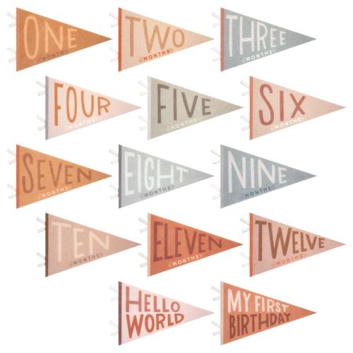 Mountain Fields Baby Milestone Pennant Set - Nature Monthly Photo Props, Birth to 12 Months