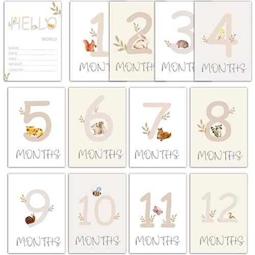 Beige Monthly Milestone Signs, Baby Milestone Cards, Monthly Photos Pictures Newborn Photography Prop,13 PCS Baby First Holiday Cards Pregnancy Journey Birth Gift Birth Announcement Sign-03