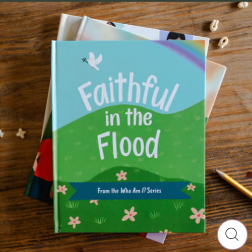 Faithful in the Flood | Children's Book – The Daily Grace Co.