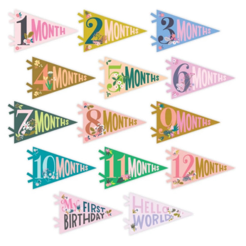 Little Artist Petit Milestone Pennants