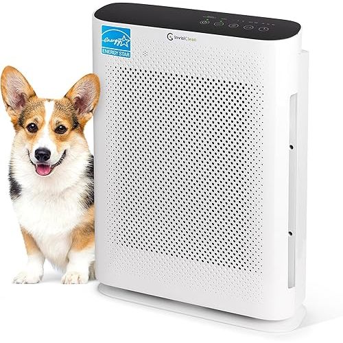 Air Purifier for Home Allergies & Pets | 4-in-1 H13 True HEPA Filter/Ionizer/Carbon + UV Light | Portable Air Purifiers for Large Room & Bedroom Odor Elimination - InvisiClean Aura II
