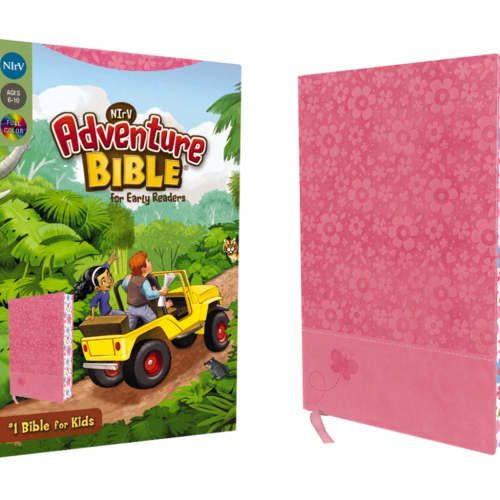 NIrV, Adventure Bible for Early Readers, Full Color Interior