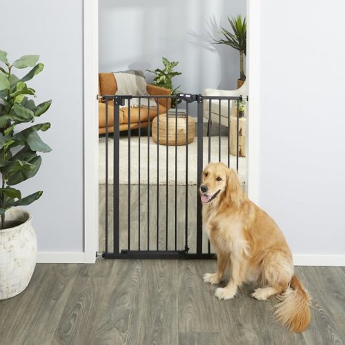Frisco Extra Tall Auto-Close Pet Gate, 41-in Height, Black - Chewy.com