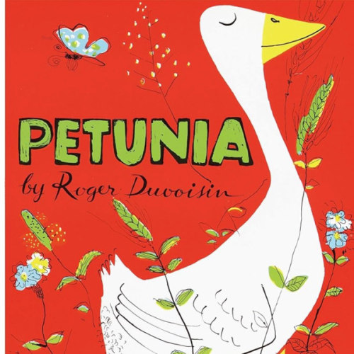 Petunia
